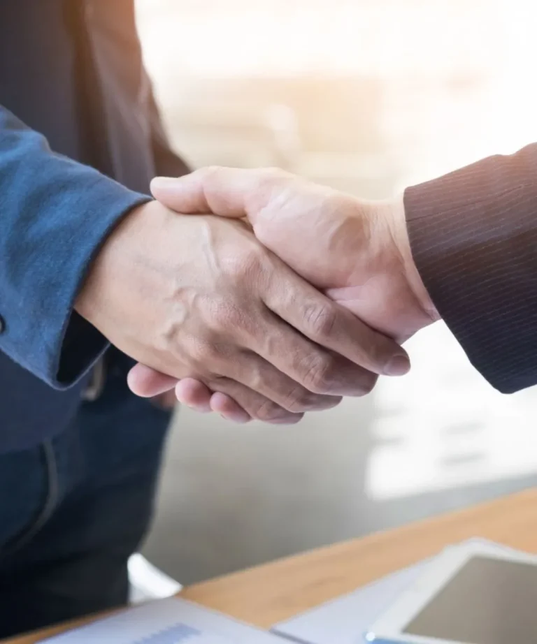 slm consulting principles